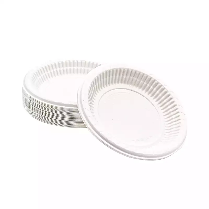 Plastik Tabak 19 Cm 100 Adet